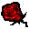 Red Rose icon